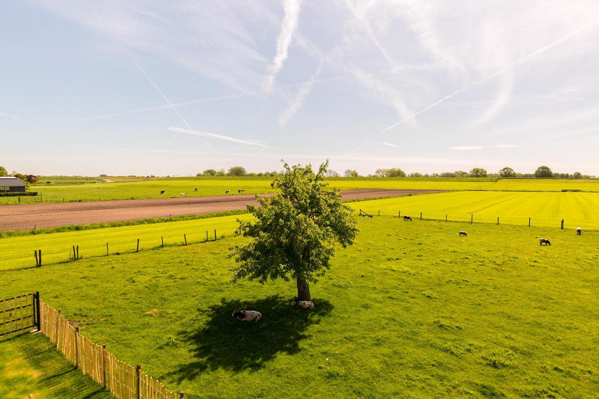 Boerderij De Zalm Bed & Breakfast Schalkwijk Bagian luar foto